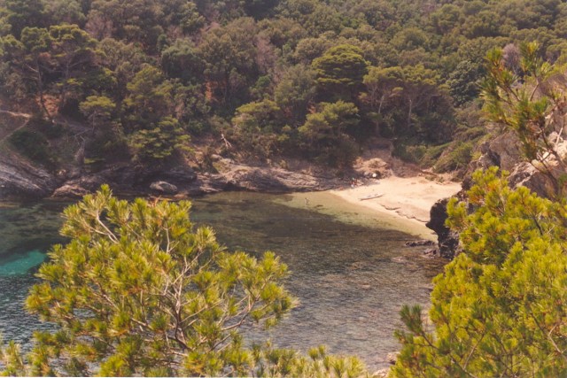 008 Plage des Pontillons Presqu'ile de Giens